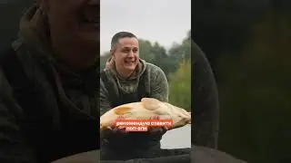 ІДЕАЛЬНА НАСАДКА НА ВЕСНЯНОГО КОРОПА