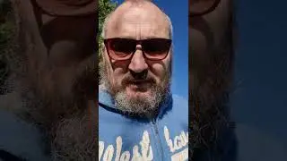 От куда берутся рыжие пчелы? 9. Juni 2024