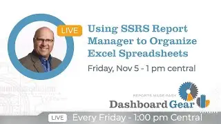 Using SSRS Report Manager to Organize Excel Spreadsheets