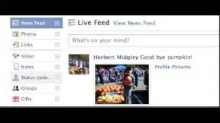 The Facebook News Feed / Live Feed Fix Status Updates