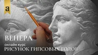 Голова Венеры - Рисунок гипсовых голов | Художник Андрей Томский ~ Онлайн-школа Akademika