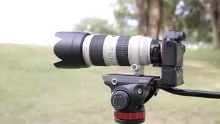 Sony a7RII AF test with Canon lenses