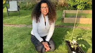Tip #6: Caring & Nurture - Connecting in Nature