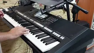 Lasha Tumbai cover (Verka Serduchka band) Ziben Ziben на синтезаторе YAMAHA PSR S775