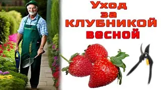 🍓УХОД ЗА КЛУБНИКОЙ ВЕСНОЙ.