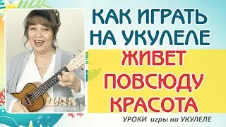 ЖИВЕТ ПОВСЮДУ КРАСОТА - Ю. Антонов на УКУЛЕЛЕ аккорды. Как играть на Укулеле , уроки Укулеле