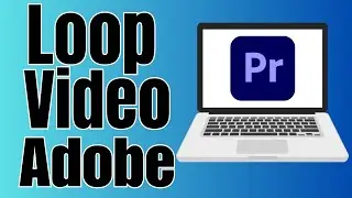 How to Create Loop Video in Premiere Pro (2024)