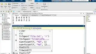 MATLAB Random File Access