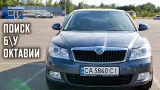 Тонкости поиска б\у Октавии | Skoda Octavia A5 | Автоподбор Киев