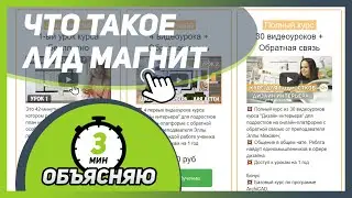 Что такое ЛИД МАГНИТ ?? 🎓🎓 Объясню на своем примере