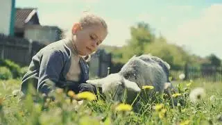 Baby Animals: Amazing World Of Young Animals | Scenic Relaxation Film