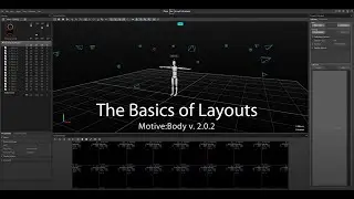 Motion Capture Tutorial: Layouts