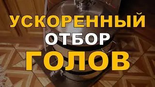 Ускоренный отбор голов. Эксперимент по выбору подписчиков. ГХ анализ полученного спирта.