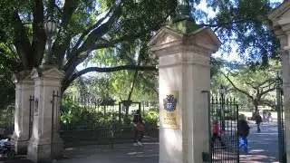 City Botanic Garden Brisbane 💛💚🧡 Nature Lover