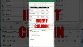 Insert Column with Excel VBA #shorts