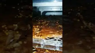 Виготовлення снеків