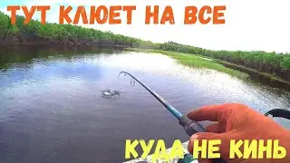 Сумасшедшая  РЫБА Выпрыгивает и кидается на все! И ТАК На каждом забросе