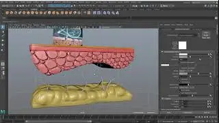 how to make 3d modeling medical skin animation|Maya and Zbrush