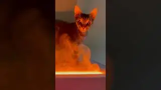 Часть вторая)
