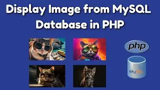 How to Display Image from Database using PHP | PHP for Beginners