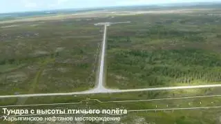 Харьяга с высоты птичьего полёта (видеосъёмка: latyshevnv)