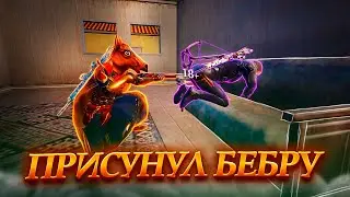 БЕБРА НАКАЗАЛА ШАМИЛЯ В PUBG Mobail / СОЛО ПРОТИВ СКВАДОВ В ПАБГ МОБАИЛ