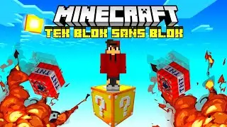 🧱MINECRAFT AMA TEK BLOK ŞANS BLOĞU🧱MUHAMMET EFE ARI🐝ARIGİLLER🐝MINECRAFT 🐝AYŞEM ECE ARI