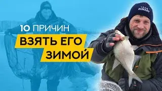 ТОП-10 причин ВЗЯТЬ в руки ФИДЕР зимой