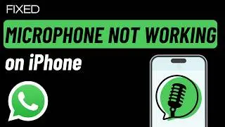 How to Fix WhatsApp Microphone Not Working on iPhone