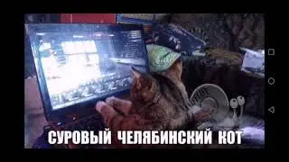 Этот кот из wargaming 2021