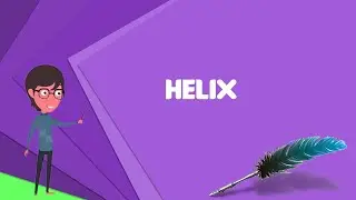 What is Helix? Explain Helix, Define Helix, Meaning of Helix