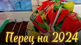 25.02.24г. Сею перец на рассаду.