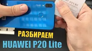 Как снять заднюю крышку и разобрать HUAWEI P20 LITE. Mobline