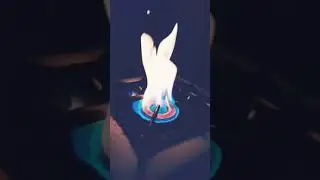 Fire Experiments Live Gase