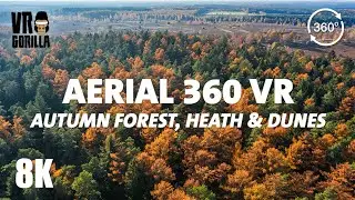 Autumn Forest, Heath and Dunes - Aerial & Walkthrough - 8K 360 Drone Video