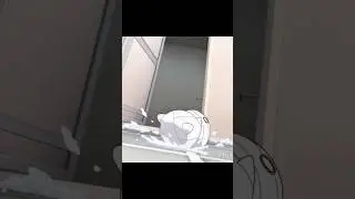 За Ми нужен глаз да глаз😆 || Как вырастить мумию #аниме #anime
