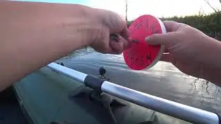 Щуки рвут поводки! Рыбалка на кружки в пруду за домом! Рыбалка на живца!