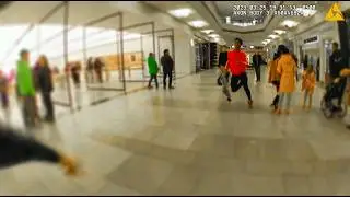 Trip to the Mall Goes Very Wrong