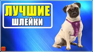 ✅ ТОП 4 Лучшие шлейки для собак  с АлиЭкспресс [ 2023 Рейтинг ] Тактические жилеты для собак