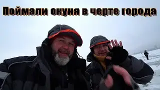 Поймали окуня в городе. Окунь на балансир