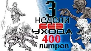 Аквариумистика.  Аквариум 400 литров, 3 недели без ухода