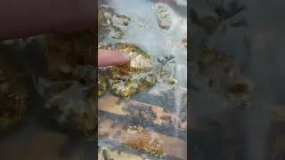 ячейка трутня в разрезе 