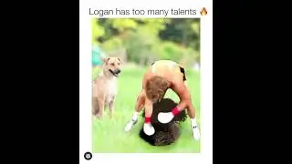 LOGAN PAUL HAS MANY TALENTS #tiktok #shorts