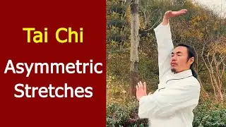 The Power of Movement: Explore the Benefits of Tai Chi Exercises