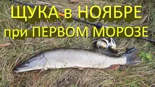 🔥 ЩУКА в НОЯБРЕ. Снова Keitech Swing Impact. Рыбалка на спиннинг при первом морозе 🔥