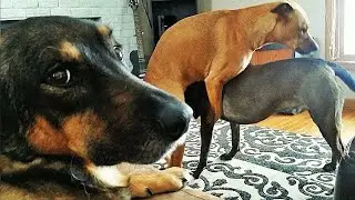 Почему браки распадаются? Уютный подкаст 