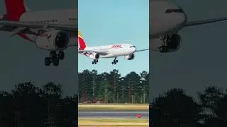X-PLANE 12 | A330-300 | LANDING AT VIE/  LOWW