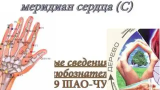 Секреты китайской медицины (14). Точка шао-чун. Меридиан сердца С9.