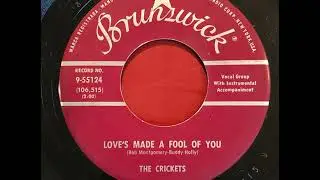 Crickets -  Love's Made A Fool Of You
