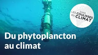 Quel rôle les profondeurs océaniques jouent-elles dans la machine climatique ? | Coulisses du climat